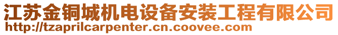 江蘇金銅城機(jī)電設(shè)備安裝工程有限公司