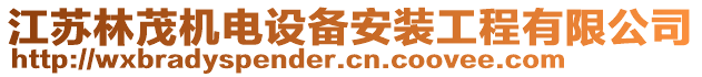 江蘇林茂機(jī)電設(shè)備安裝工程有限公司