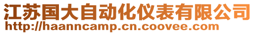 江蘇國大自動化儀表有限公司