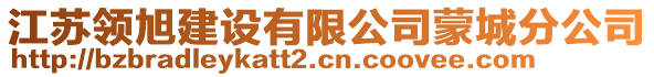 江蘇領(lǐng)旭建設(shè)有限公司蒙城分公司