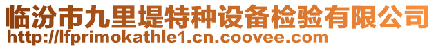 臨汾市九里堤特種設備檢驗有限公司