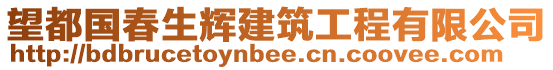 望都國(guó)春生輝建筑工程有限公司