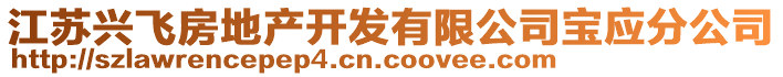 江蘇興飛房地產(chǎn)開發(fā)有限公司寶應(yīng)分公司