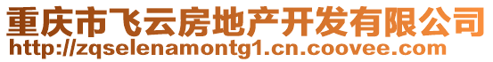 重庆市飞云房地产开发有限公司