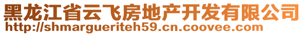 黑龙江省云飞房地产开发有限公司