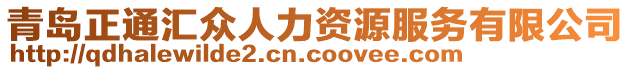 青島正通匯眾人力資源服務(wù)有限公司