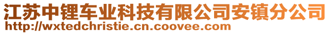 江蘇中鋰車業(yè)科技有限公司安鎮(zhèn)分公司