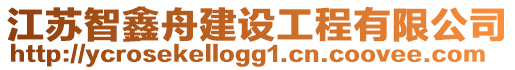 江蘇智鑫舟建設工程有限公司