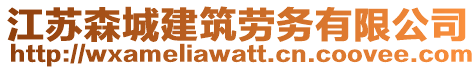 江蘇森城建筑勞務有限公司