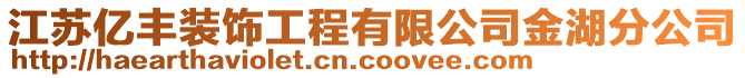 江蘇億豐裝飾工程有限公司金湖分公司