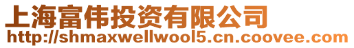 上海富偉投資有限公司