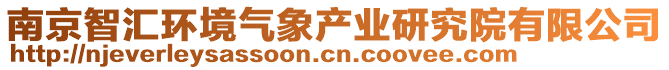 南京智匯環(huán)境氣象產(chǎn)業(yè)研究院有限公司