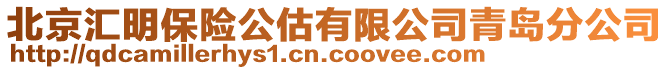 北京匯明保險公估有限公司青島分公司