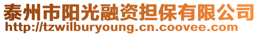 泰州市陽(yáng)光融資擔(dān)保有限公司