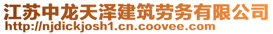 江蘇中龍?zhí)鞚山ㄖ趧?wù)有限公司