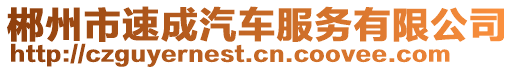 郴州市速成汽車服務(wù)有限公司