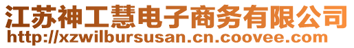 江蘇神工慧電子商務(wù)有限公司