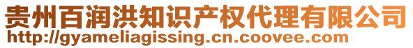 貴州百潤洪知識產(chǎn)權(quán)代理有限公司