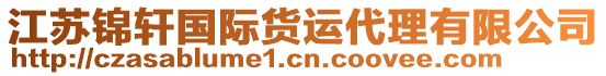 江蘇錦軒國際貨運(yùn)代理有限公司