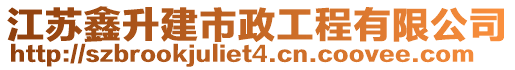 江蘇鑫升建市政工程有限公司