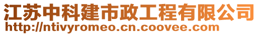 江蘇中科建市政工程有限公司