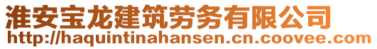 淮安寶龍建筑勞務(wù)有限公司