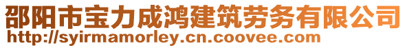 邵陽(yáng)市寶力成鴻建筑勞務(wù)有限公司