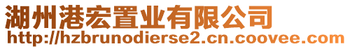 湖州港宏置業(yè)有限公司