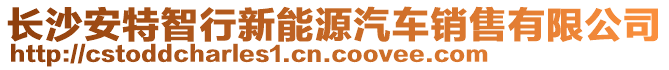 長沙安特智行新能源汽車銷售有限公司