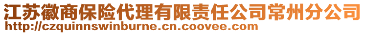 江苏徽商保险代理有限责任公司常州分公司