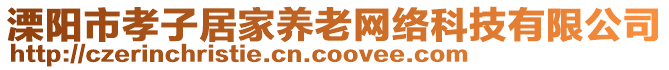 溧陽市孝子居家養(yǎng)老網(wǎng)絡(luò)科技有限公司