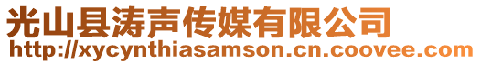 光山縣濤聲傳媒有限公司