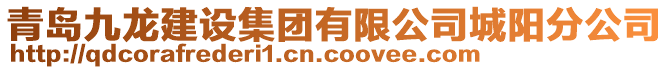 青島九龍建設(shè)集團(tuán)有限公司城陽分公司