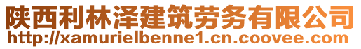 陕西利林泽建筑劳务有限公司