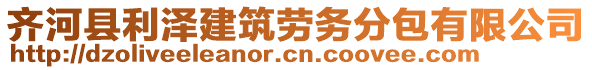 齐河县利泽建筑劳务分包有限公司