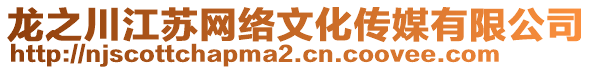 龍之川江蘇網(wǎng)絡(luò)文化傳媒有限公司