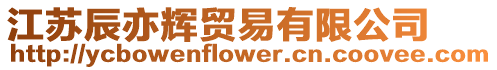 江蘇辰亦輝貿易有限公司