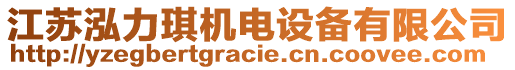 江蘇泓力琪機(jī)電設(shè)備有限公司