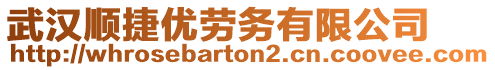 武漢順捷優(yōu)勞務(wù)有限公司