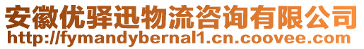 安徽優(yōu)驛迅物流咨詢有限公司