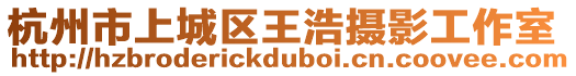 杭州市上城區(qū)王浩攝影工作室