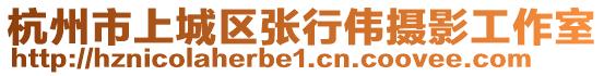 杭州市上城區(qū)張行偉攝影工作室