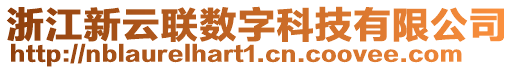 浙江新云聯(lián)數(shù)字科技有限公司