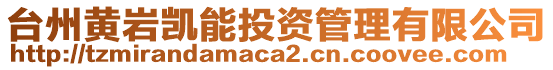 臺州黃巖凱能投資管理有限公司