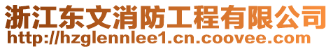 浙江東文消防工程有限公司