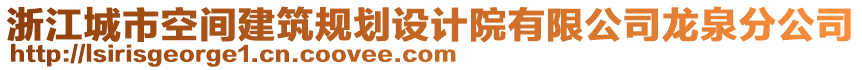 浙江城市空间建筑规划设计院有限公司龙泉分公司