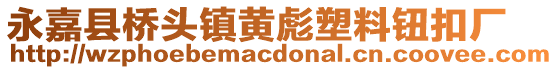 永嘉縣橋頭鎮(zhèn)黃彪塑料鈕扣廠