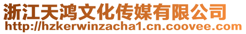 浙江天鴻文化傳媒有限公司