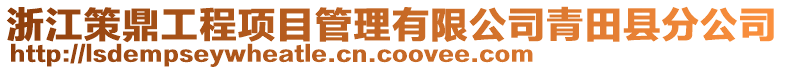 浙江策鼎工程項目管理有限公司青田縣分公司