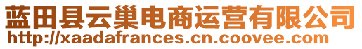 藍(lán)田縣云巢電商運(yùn)營(yíng)有限公司